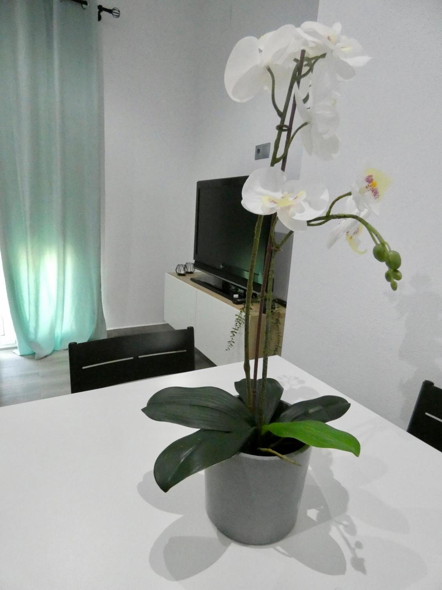 Appartement Casa Monturrio à Moguer Extérieur photo